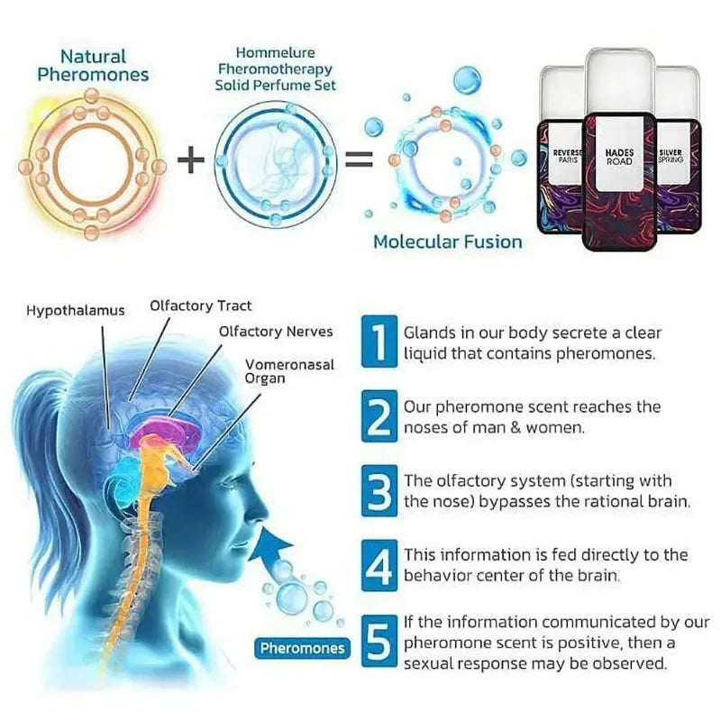 Conjunto de perfume sólido Perfume portátil de longa duração Unissex Feromônio Feromone Conjunto de perfume sólido Colônia para homens Atrai mulheres 3 peças/conjunto